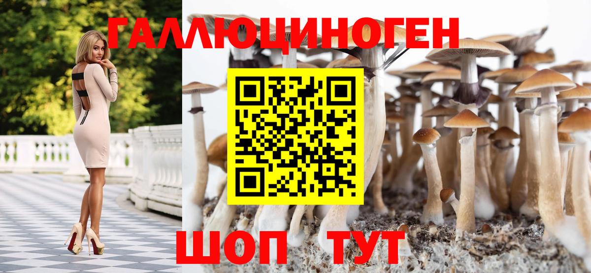 Псилоцибиновые грибы ЛСД Владивосток