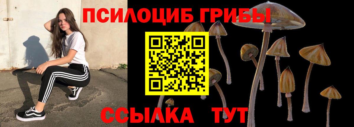 Владивосток  где найти   Вход с VPN  Галлюциногенные грибы мухоморы 